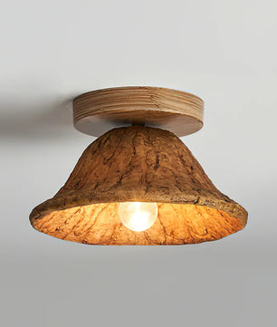 Teelin Ceiling Light