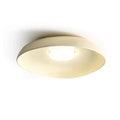  Cream color
