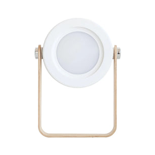 Portable Lantern Table Lamp