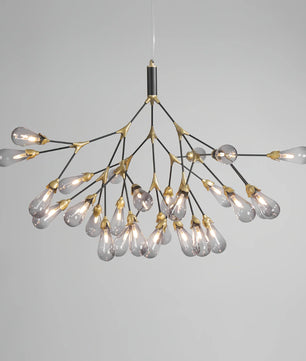 Aiwen Chandelier