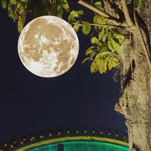Outdoor Moon Textured chandelier