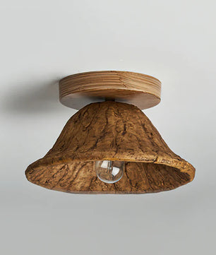 Teelin Ceiling Light