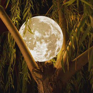 Outdoor Moon Textured chandelier