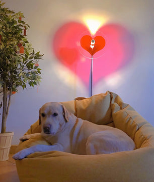 Heart Atmosphere Floor Lamp