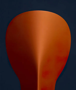 Shield Table Lamp
