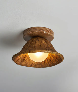 Teelin Ceiling Light