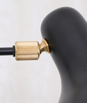 Mantis Wall Lamp