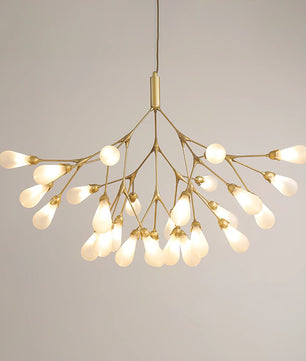 Aiwen Chandelier