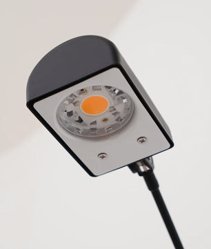 Daphines Floor Lamp