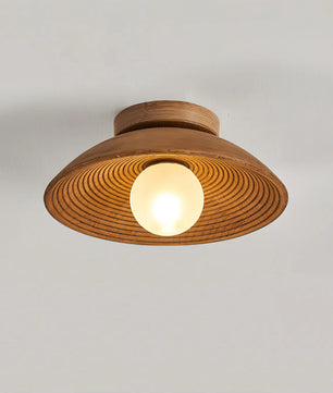 Teelin Ceiling Light