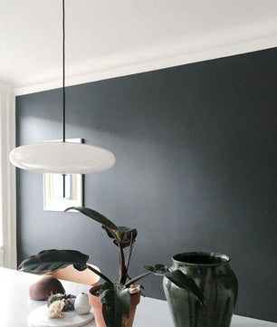 Model 2065 Pendant Light