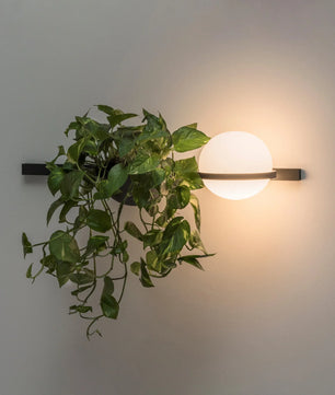 Solstice Outdoor Wall Light