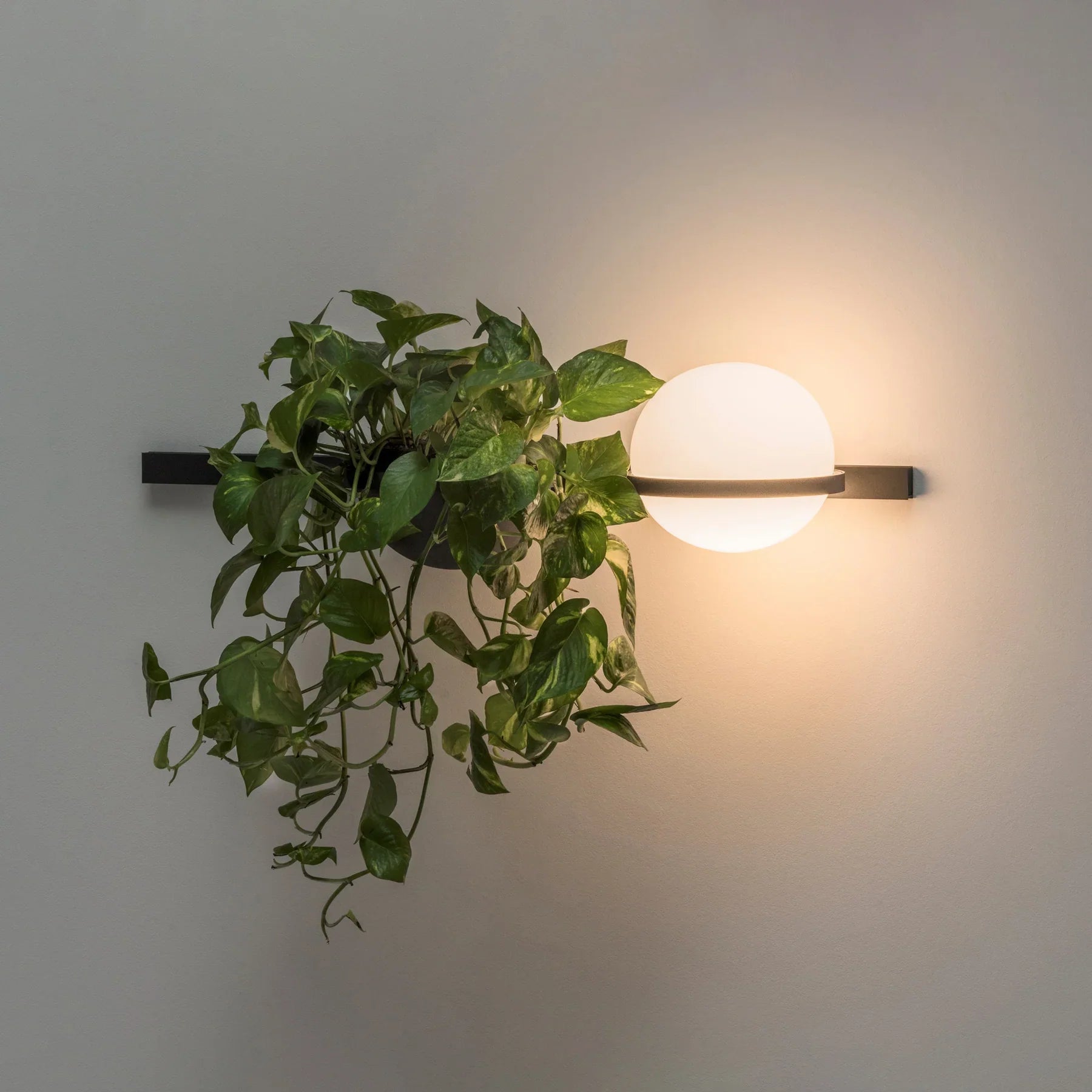 Solstice Outdoor Wall Light