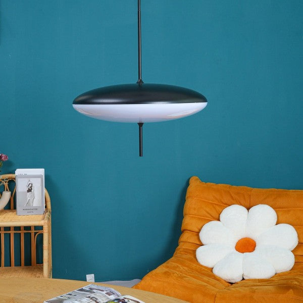 Model 2065 Pendant Light