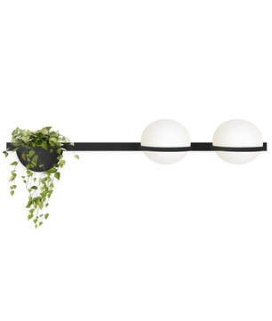 Solstice Outdoor Wall Light