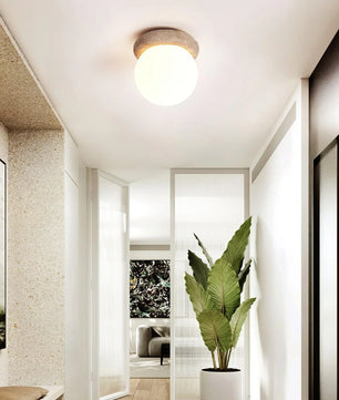 Asteroid Ceiling Lamp